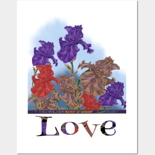 Blooming irises. Love Posters and Art